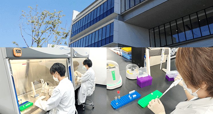 STD研究所 エニーラボラトリー